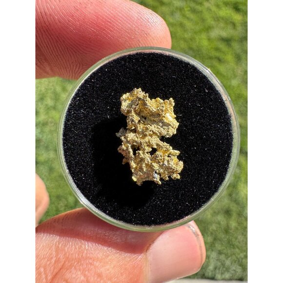 California Native Gold Crystal -  1.1 grams - Picture 2 of 6
